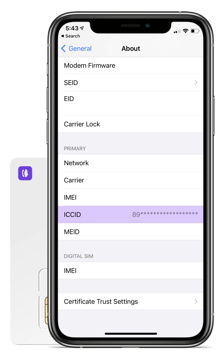 An iPhone showing the ICCID in the phone's settings.